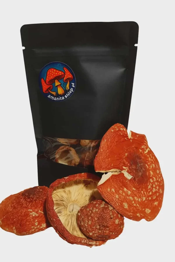 2a4a9007-5616-40bd-9ed3-6562098a7948 susz czapki Amanita Muscaria 100g.
